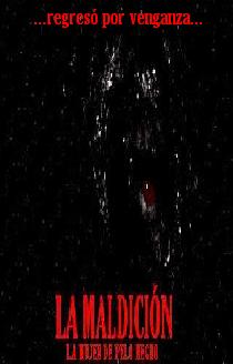 Poster La Maldición: La Mujer de Pelo Negro